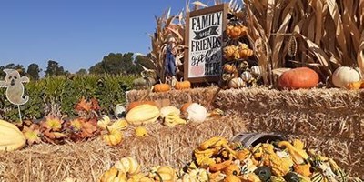 Fun October Activities in Petaluma and Sonoma County