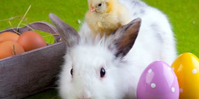 MASSIVE Easter egg hunt & Prizes! Meet the Easter Bunny!!