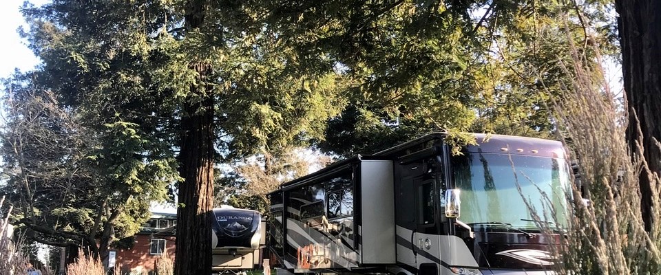 These 50 amp pull thru sites have large grass area, picnic table and fire pit for making memories.
