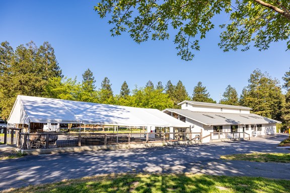 Plan a trip to Angwin, California