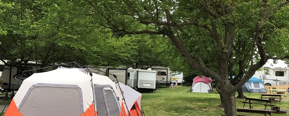 Tent sites have room for a tent,  a picnic table, firepit and parking for 1 vehicle. Extra vehicles may be parked for free in our lower parking area.