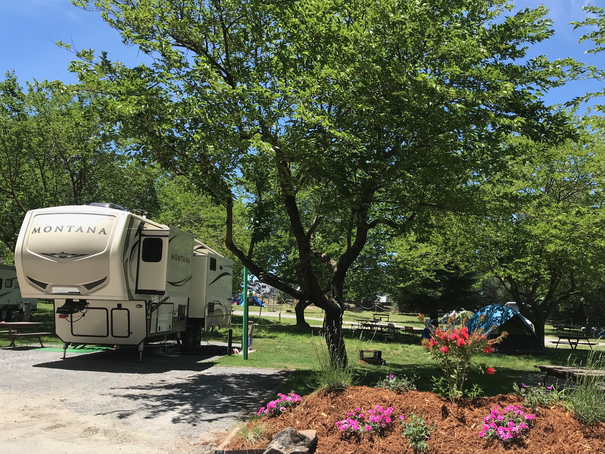 Petaluma, California RV Camping Sites San Francisco North / Petaluma KOA