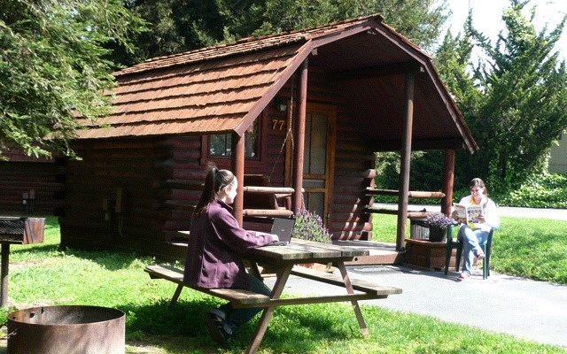 Petaluma California Lodging San Francisco North Petaluma Koa