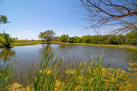 Catch & Release Fishing Pond