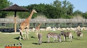 Frank Buck Zoo