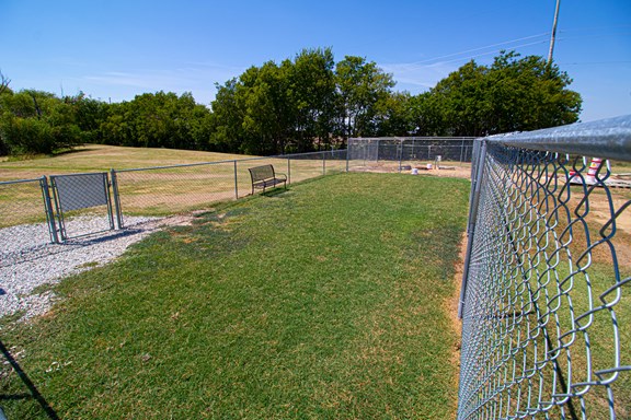 Dog Park