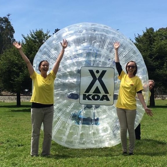 CLOSED - Zorb-Human Hamster Ball