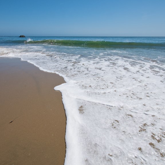 Santa Cruz Beaches/Manresa State Beach