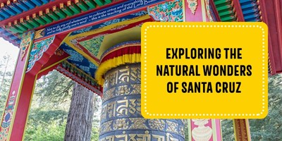 Exploring the Natural Wonders of Santa Cruz