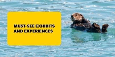 Visitor's Guide to the Monterey Bay Aquarium