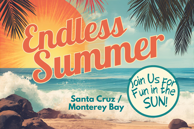 Endless Summer Photo
