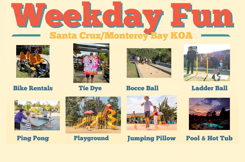 Weekday Activities Photo