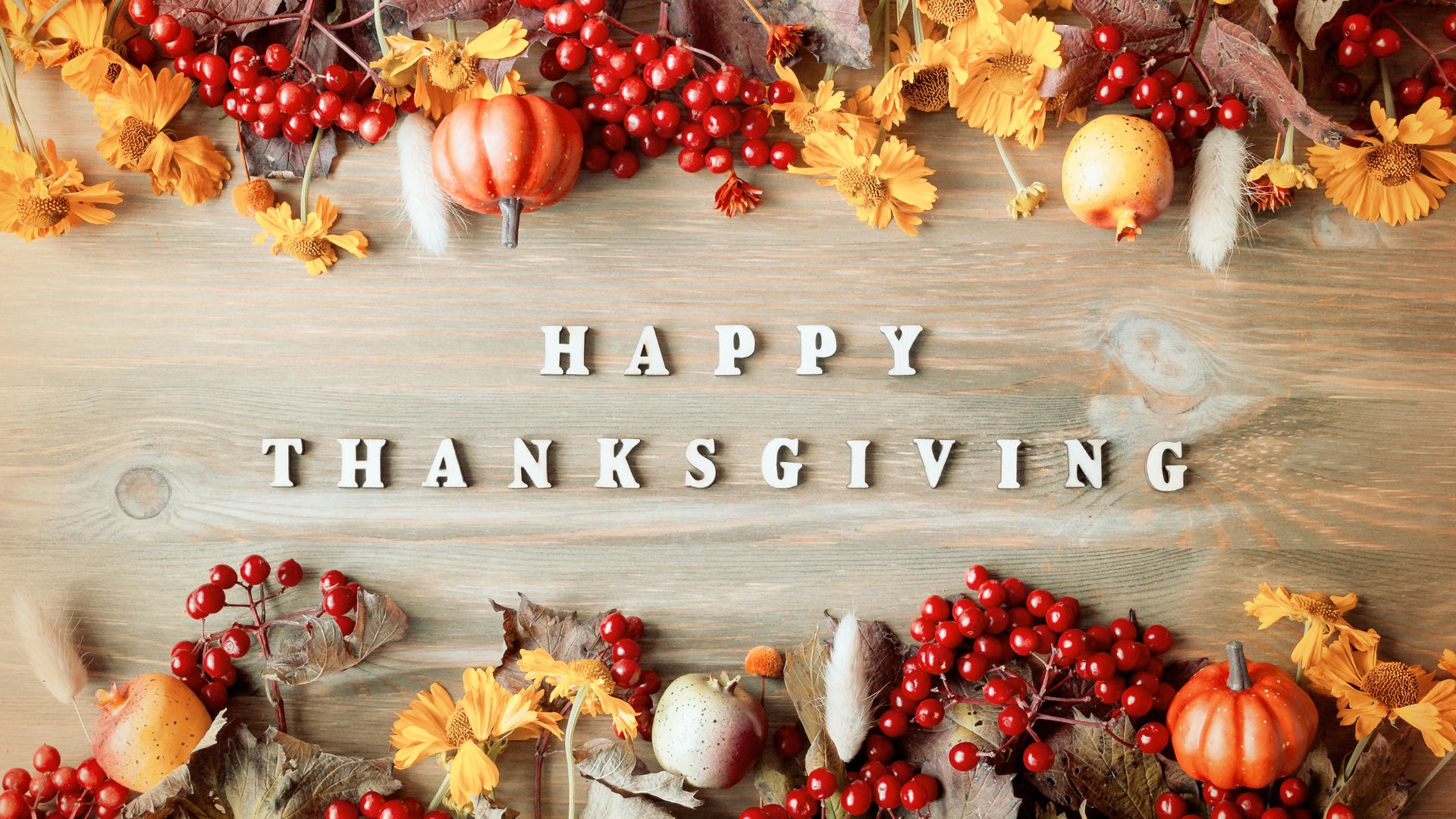 Campsgiving Photo