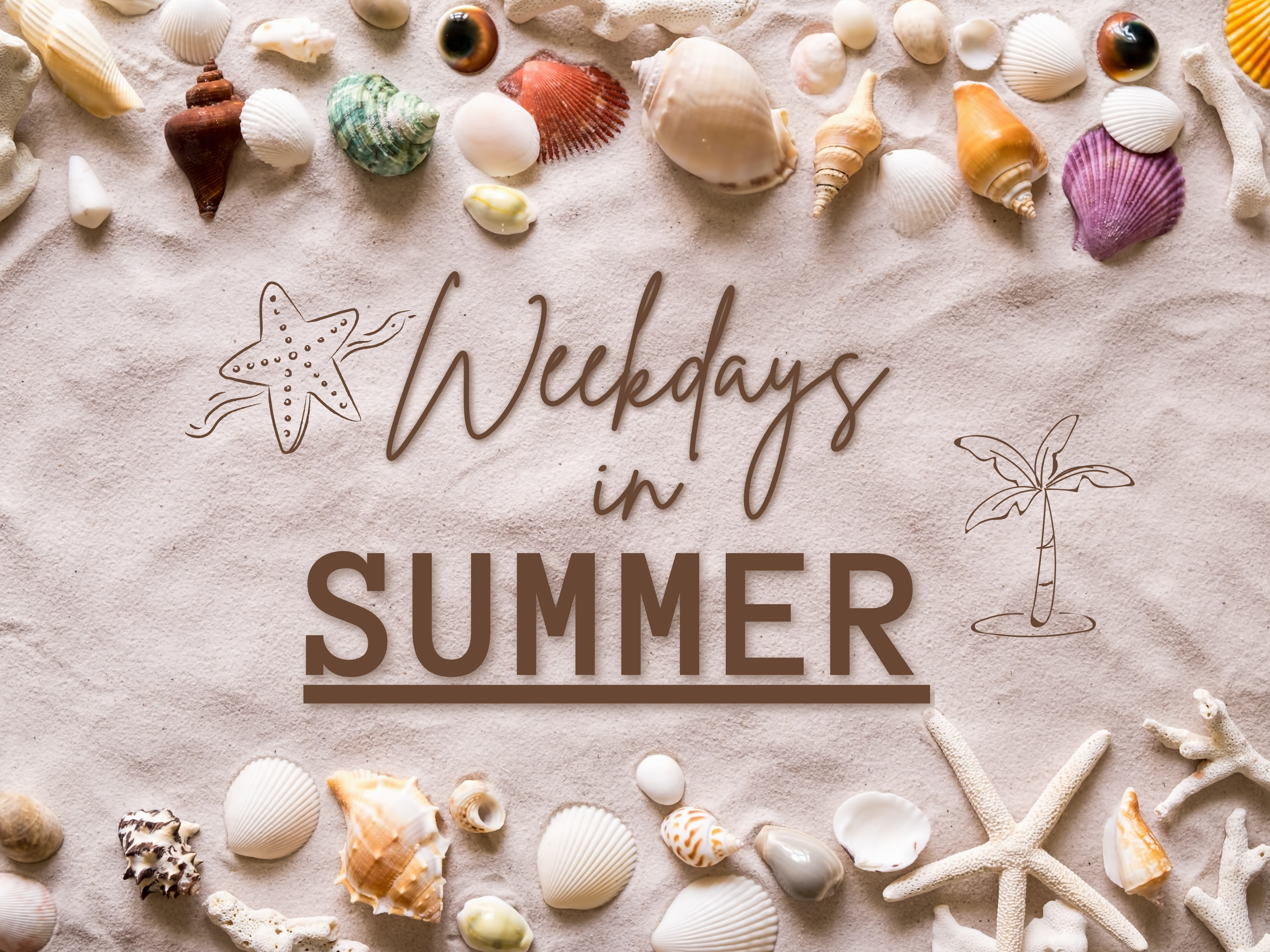 Weekday Activities 6/22-6/25 Photo
