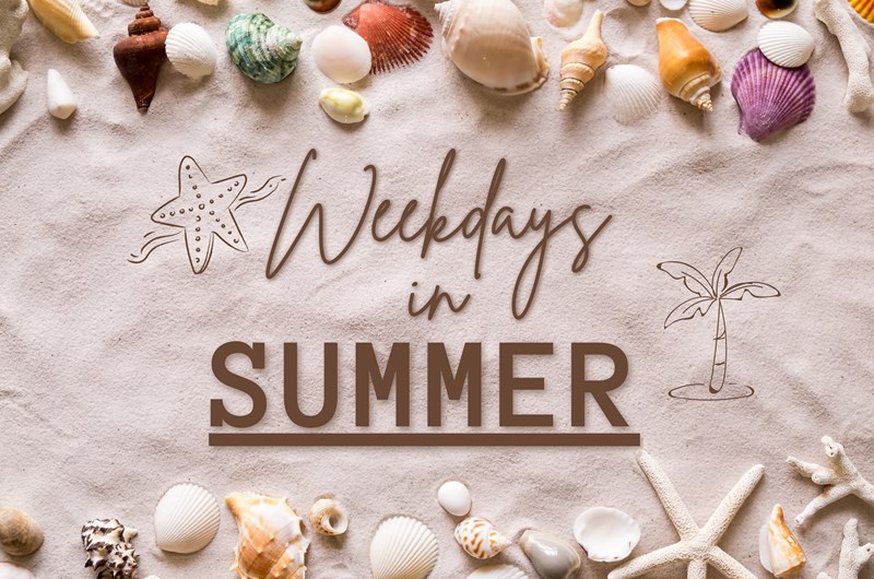 Weekday Activities 6/29-7/1 Photo