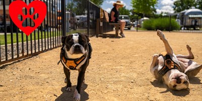 We Love Pets Weekend