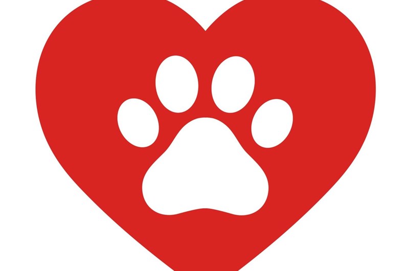 we Love Pets Weekend Photo