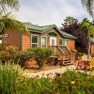 santa-cruz