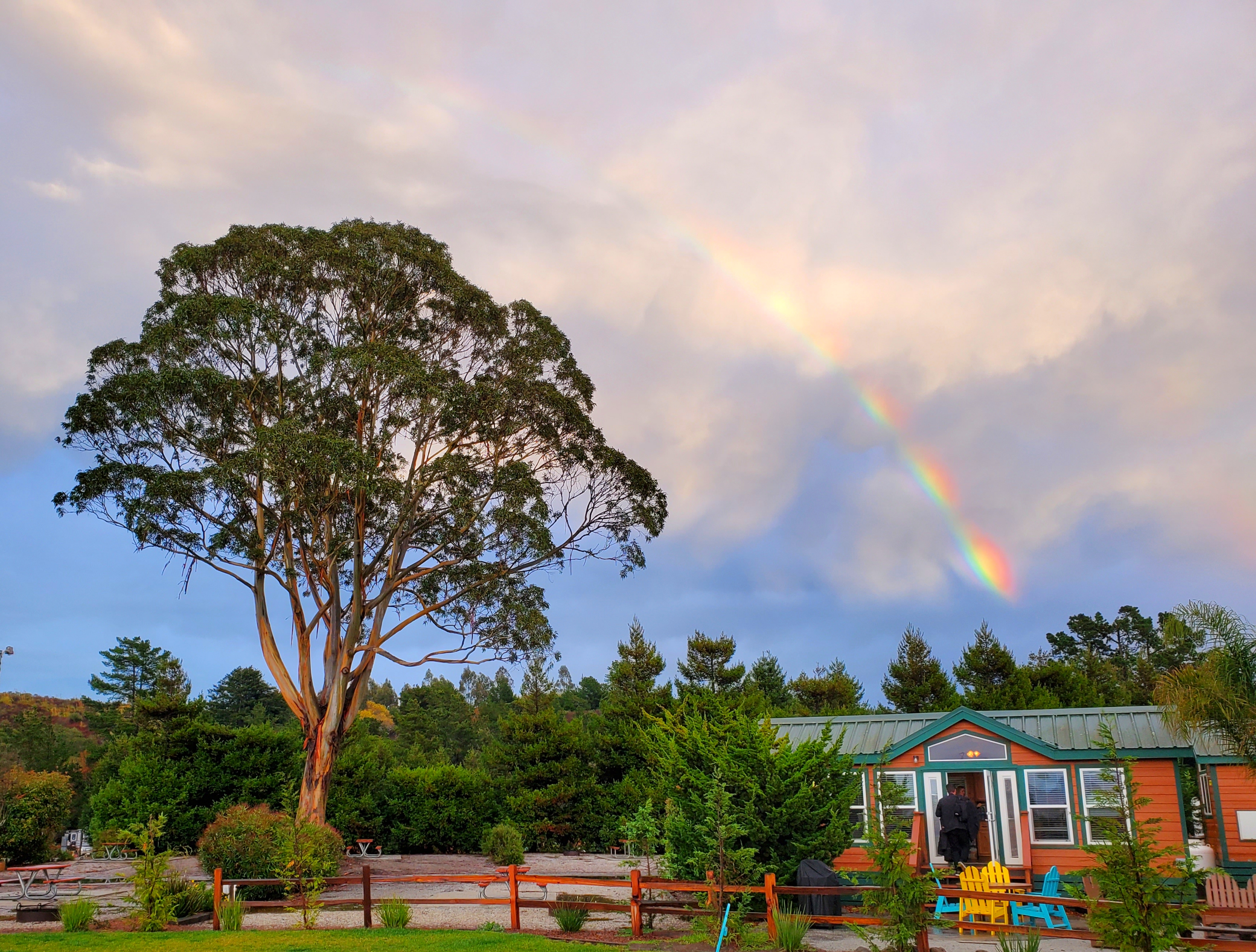 General Campground Information | Santa Cruz/Monterey Bay KOA