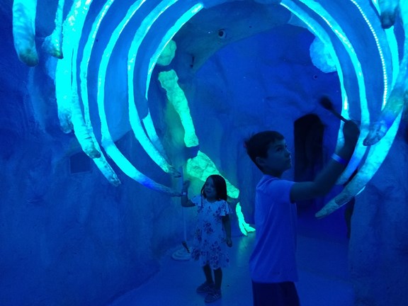 Meow Wolf