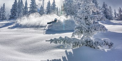 Santa Fe, New Mexico Campground | Santa Fe KOA Journey