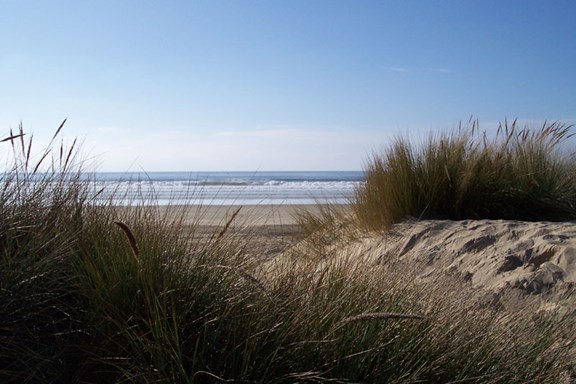 Sand Dunes - Grover Beach