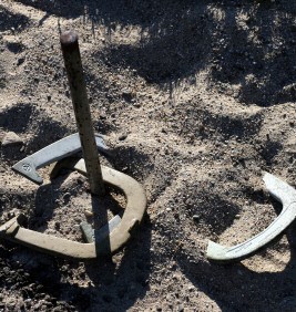 Horseshoes