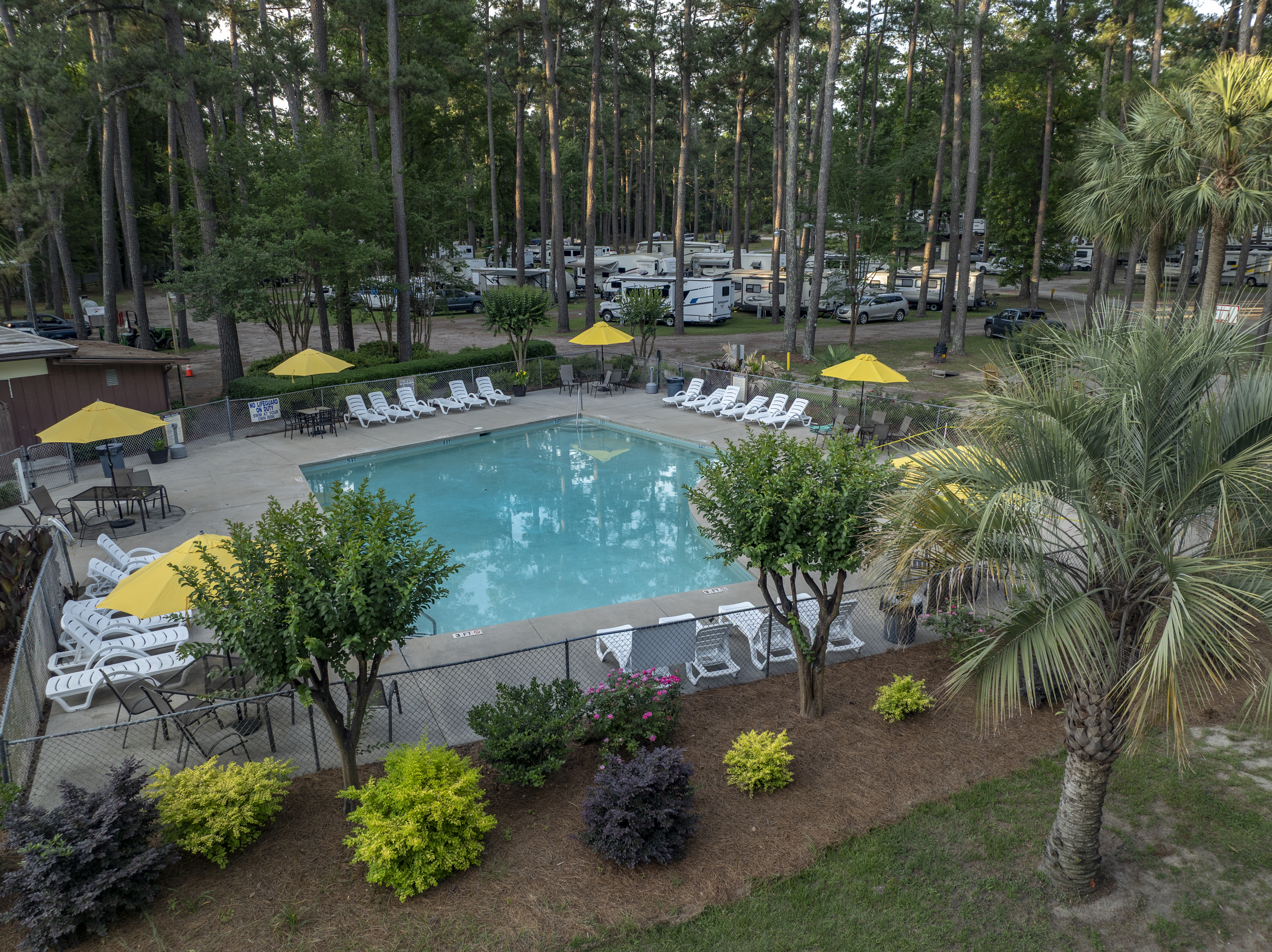 Swimming-Pool-Yellow-Umbrellas