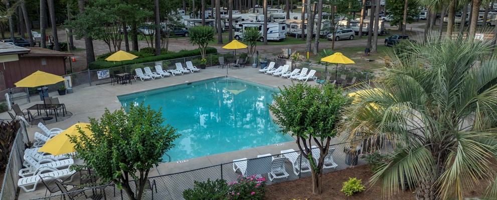 Swimming-Pool-Yellow-Umbrellas