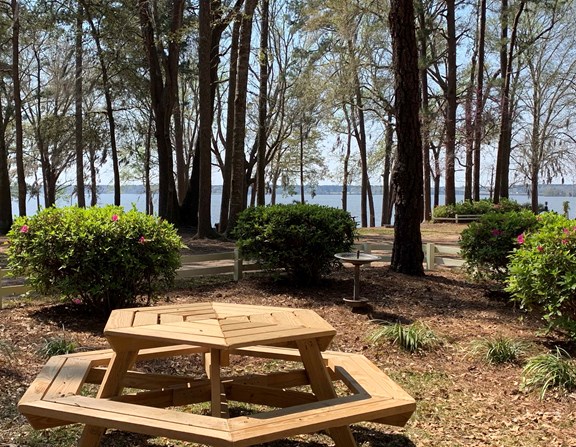 Picnic Table Overlooking Lake Marion - Site E01