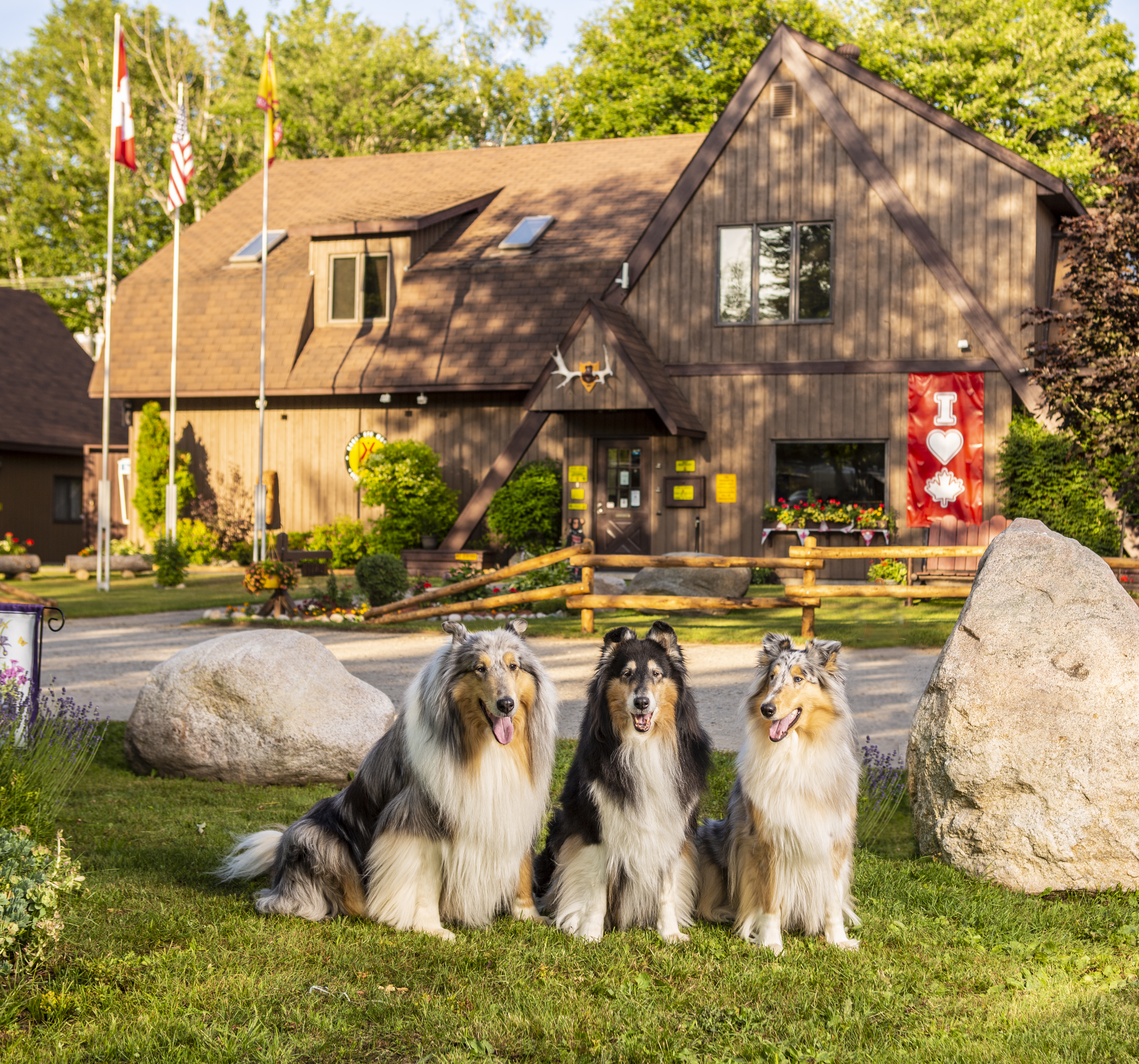 Sault Ste Marie Ontario Campground Sault Ste Marie Koa