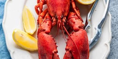 Lobster Fest on St Joseph Island