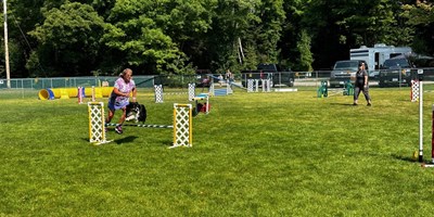 CPE Agility Trial