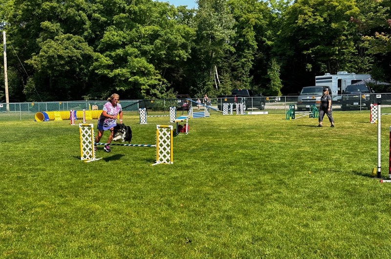 AAC Dog Agility Trial Photo
