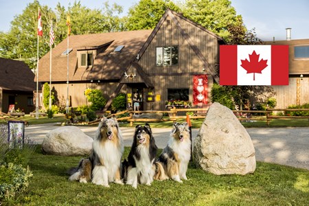 Sault Ste. Marie KOA Holiday