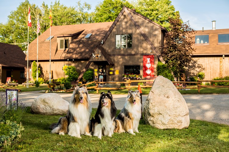 Sault Ste Marie, Ontario Campground Sault Ste. Marie KOA Holiday