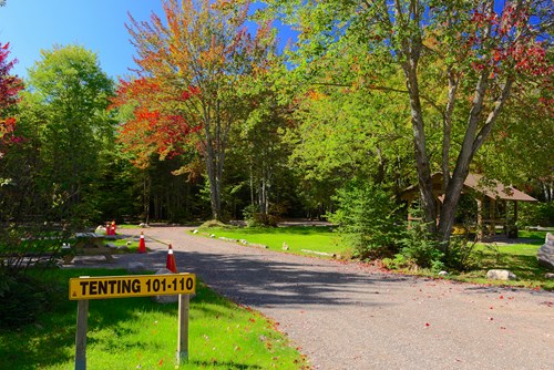 Tent Sites