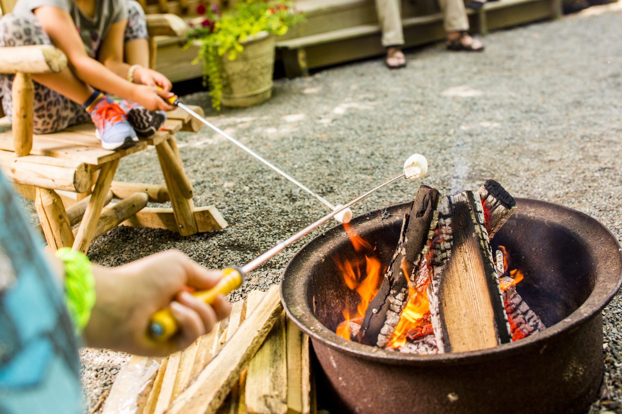 Smores