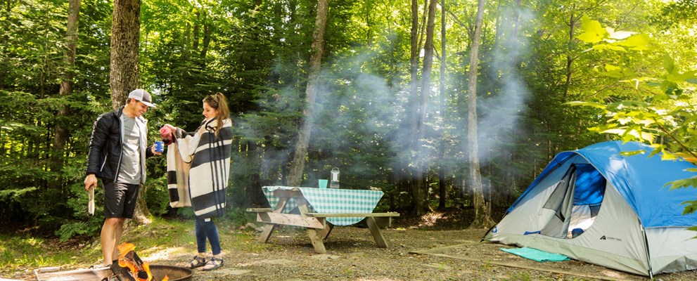 sault ste marie koa holiday sitetypes