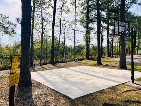 Basketball Court