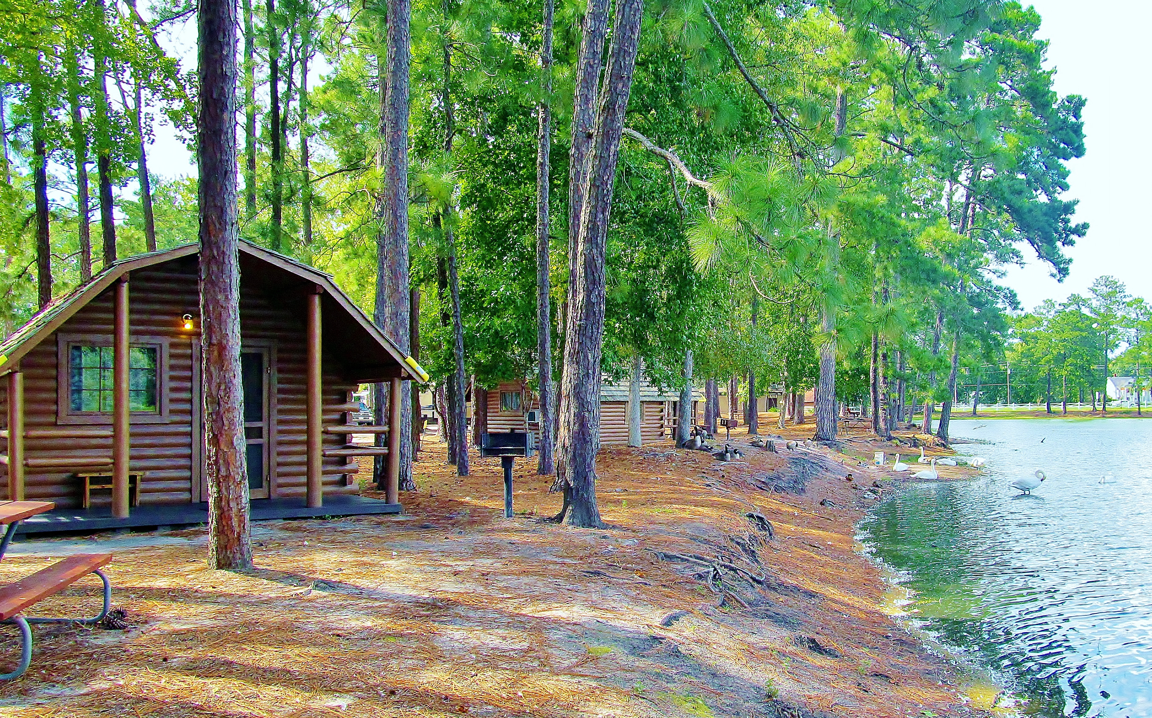 Georgia Camping Locations  KOA Campgrounds