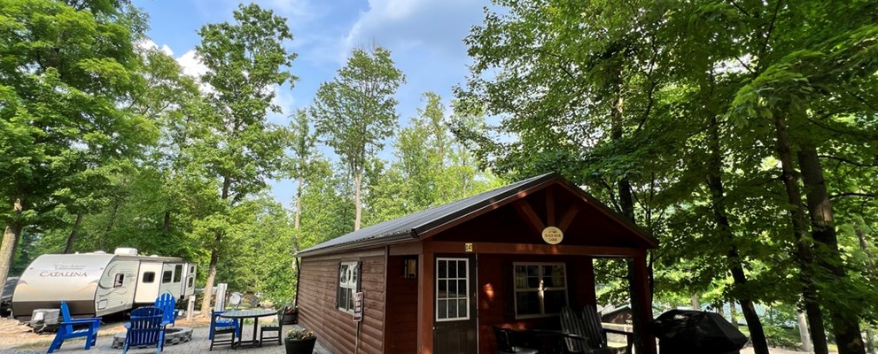 Cabin D41 sleeps 6 and is pet friendly!