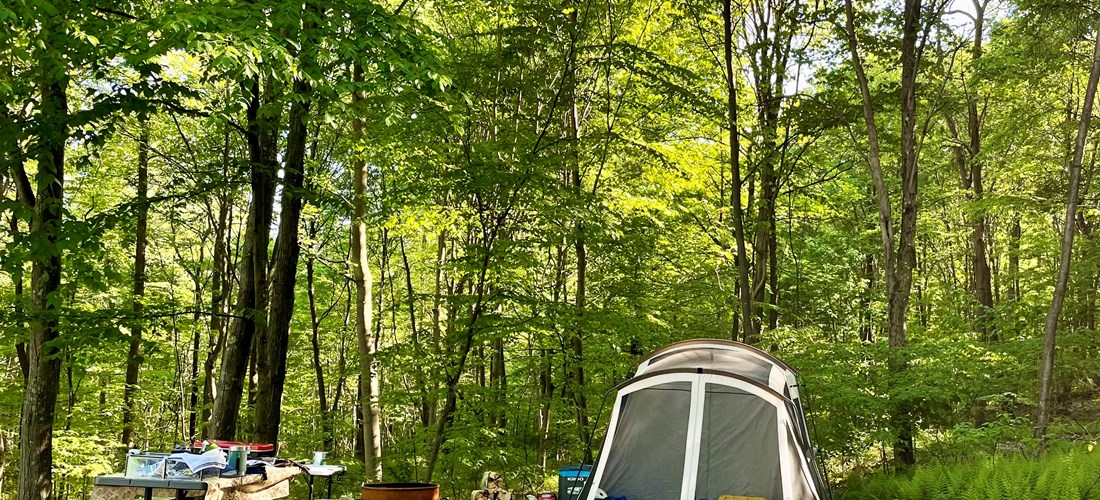 W/E Baby Bear Tent Camping