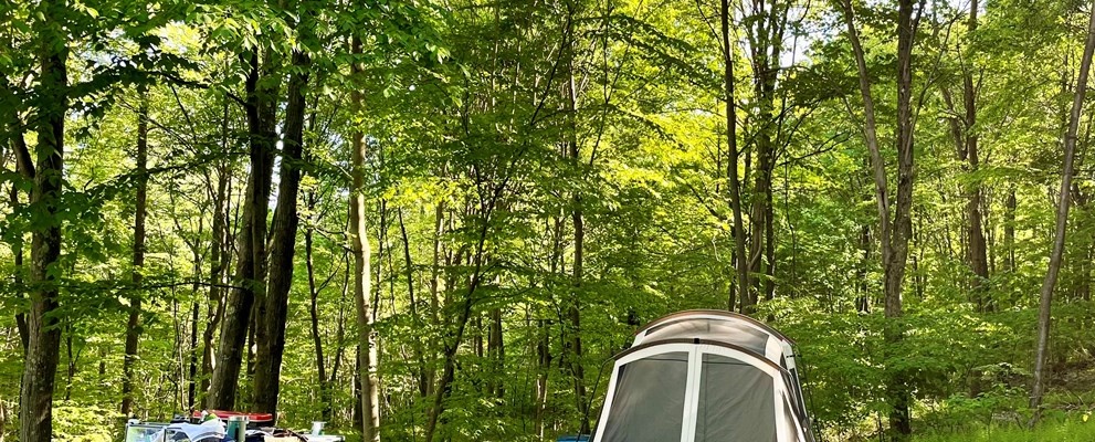 W/E Baby Bear Tent Camping