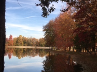 Lake by Cabin