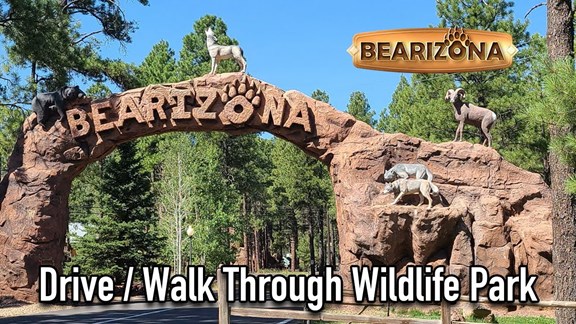 Bearizona Wildlife Park