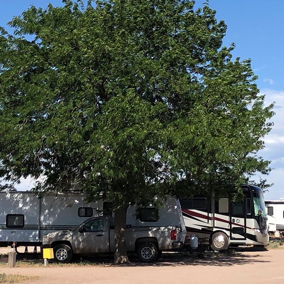 Plan a trip to Golden Shores, Arizona