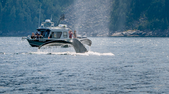 Seward Ocean Excursions - Small Boat Tours