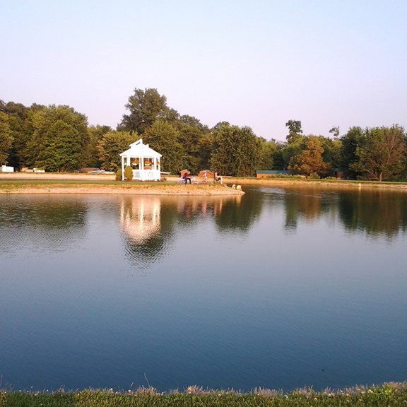 Fishing