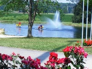 Paddle Boats